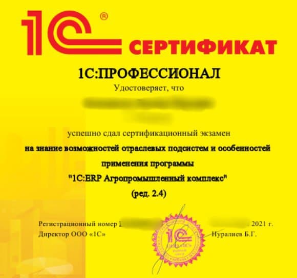 Автоматизация холдинга. Часть 1. Особенности.